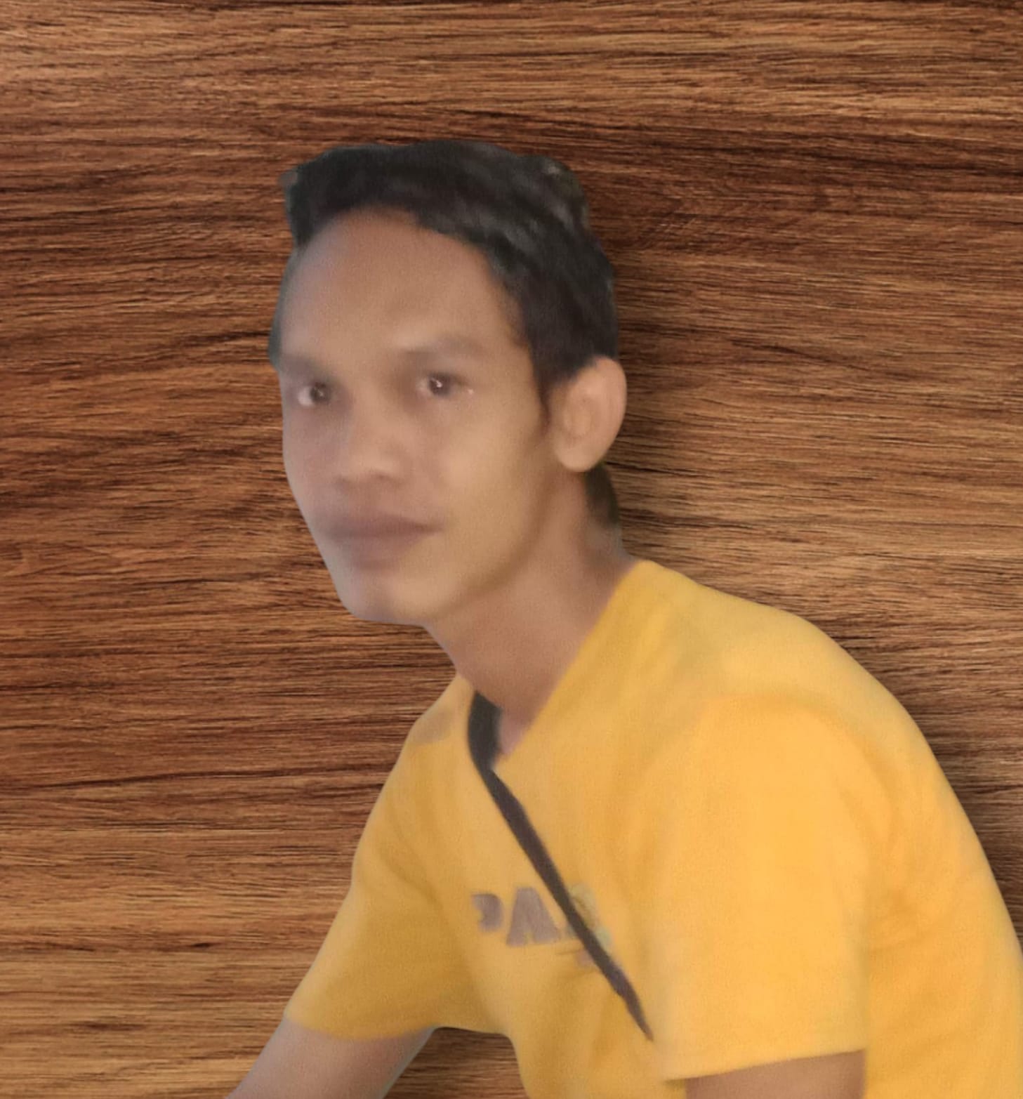 Apipudin